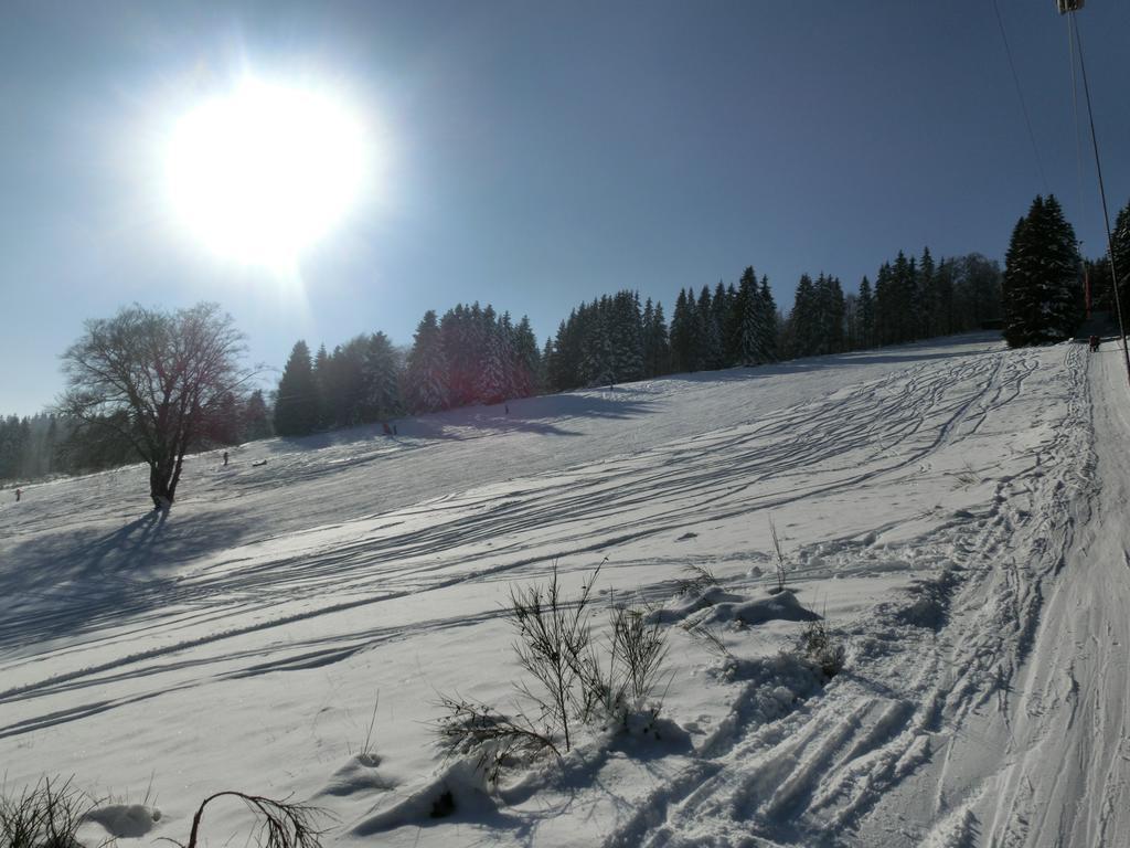 Ferienwohnung "Kleines Glueck" In Winterberg-Niedersfeld Exterior foto